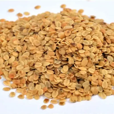 Roasted Dhania Seed Dhania Gri