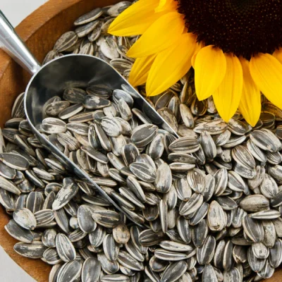 Sun Flower Seeds